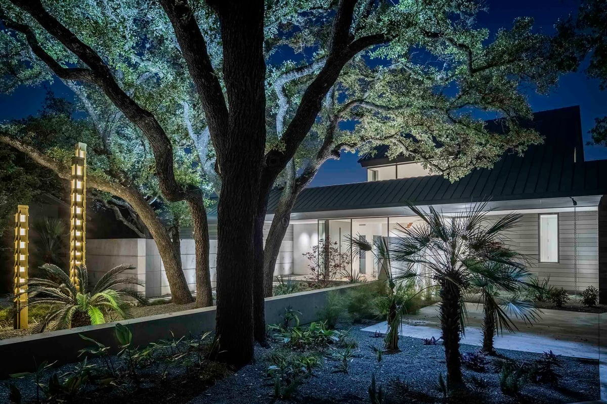 The front garden at night, oak trunks and palms lit against the house