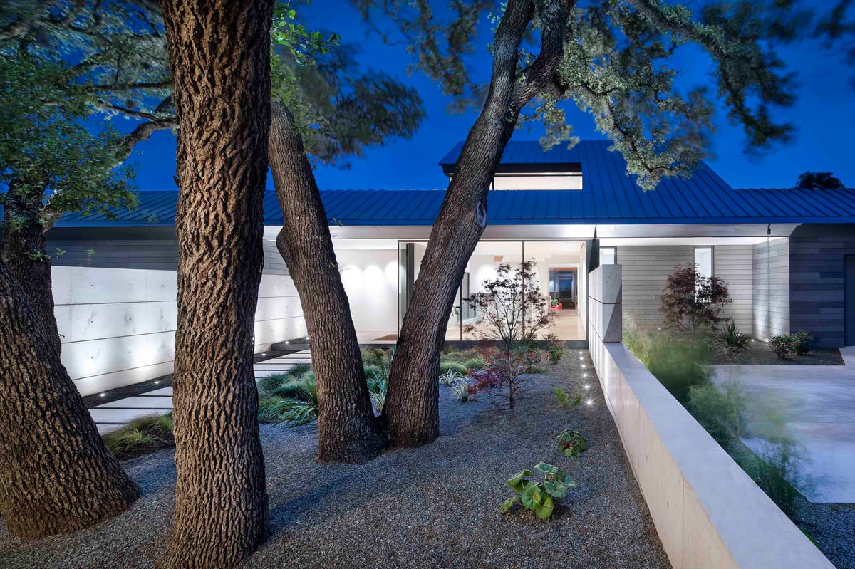 Live oak trunks in the entry garden at night, the house lit behind