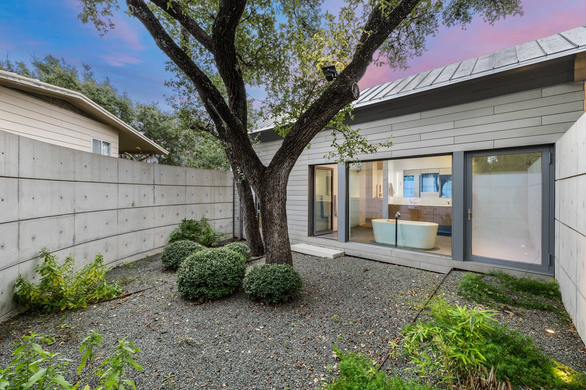 Interior courtyard around a live oak, framed by concrete walls and full-height glass