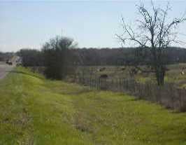 View 0 00 Hwy 183 0 00 Hwy 183 - front exterior - Luxury home in Lockhart, TX