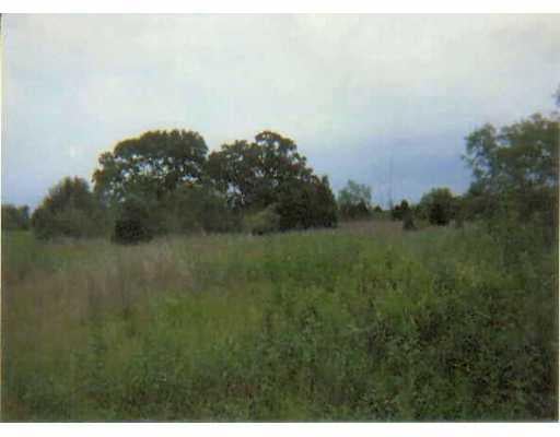 View 0 Armadillo 0 Armadillo - front exterior - Luxury lot in Bastrop, TX
