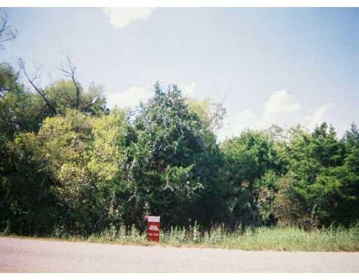 View 0 Blue BLF 0 Blue BLF - property photo 1 - Luxury lot in Manor, TX