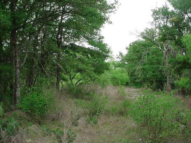 0 Burleson Manor RD - front exterior - Luxury lot in Manor, TX