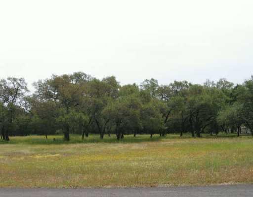View 0 Carlotta LN in Ritcherson A 0 Carlotta LN - front exterior - Luxury lot in Ritcherson A, Austin, TX