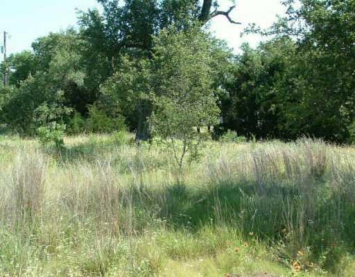 View 0 Carriage Oaks Dr 0 Carriage Oaks Dr - front exterior - Luxury lot in Liberty Hill, TX