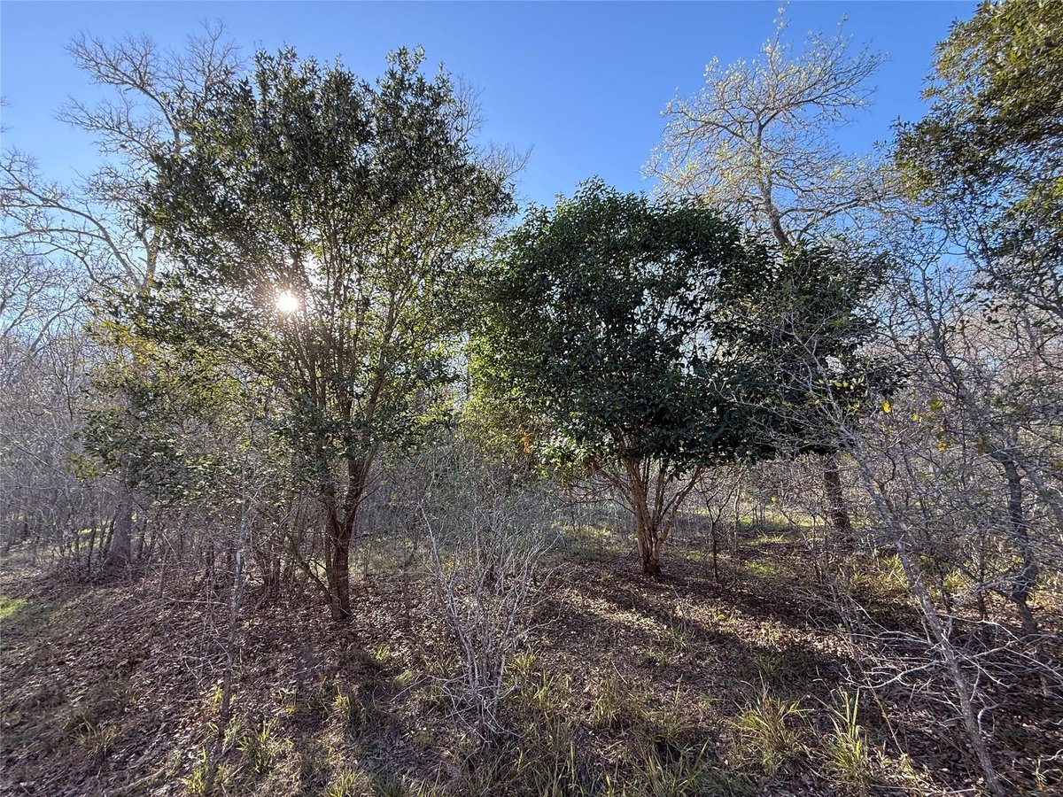 View 0 Country Club Dr in NONE 0 Country Club Dr - front exterior - Luxury home in NONE, Seguin, TX
