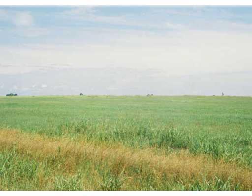 View 0 Cr 109 0 Cr 109 - front exterior - Luxury lot in Hutto, TX