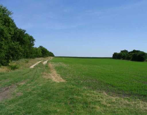 View 0 Cr 131 0 Cr 131 - property photo 1 - Luxury home in Hutto, TX