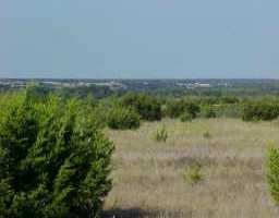 View 0 Cr 202 0 Cr 202 - front exterior - Luxury home in Burnet, TX