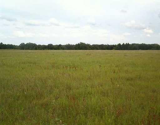 View 0 Cr 320 0 Cr 320 - front exterior - Luxury home in Lexington, TX