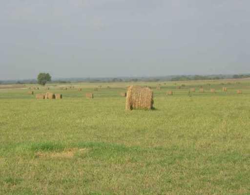 View 0 Cr 438 in Thorndale 0 Cr 438, photo 1, Thorndale, Thorndale, TX