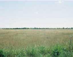 View 0 Cr 448 in Thrall 0 Cr 448, photo 1, Thrall, Thrall, TX