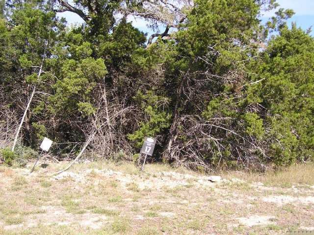 View 0 Crazyhorse PASS 0 Crazyhorse PASS - property photo 1 - Luxury lot in Austin, TX