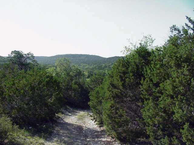 View 0 Double CYN 0 Double CYN - front exterior - Luxury home in Jonestown, TX