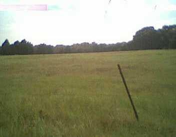 View 0 Edmonson RNCH 0 Edmonson RNCH - front exterior - Luxury home in McDade, TX