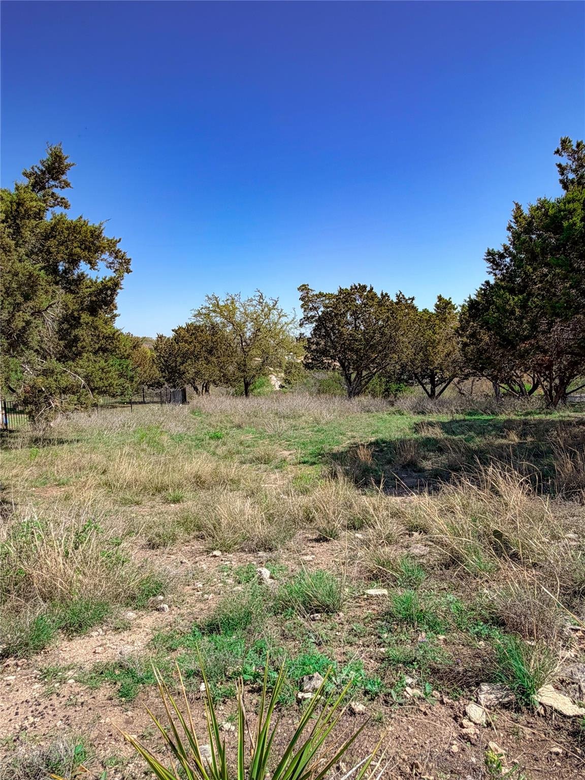 View 0 Emerson Cv in Highland Lake Estates Sec 10 R 0 Emerson Cv - front exterior - Luxury lot in Highland Lake Estates Sec 10 R, Leander, TX
