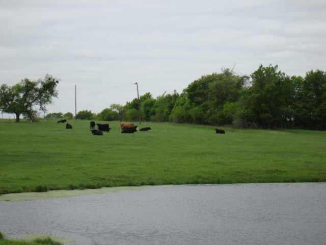View 0 FM 1331* in Thorndale 0 FM 1331*, photo 1, Thorndale, Thorndale, TX