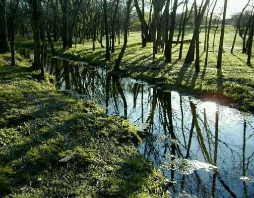 View 0 FM 2843 0 FM 2843 - property photo 1 - Luxury lot in Salado, TX