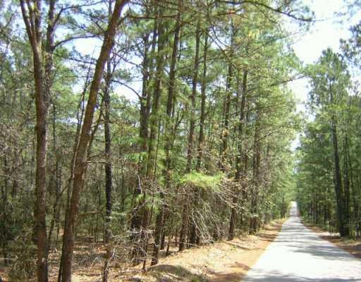 View 0 Forrest LN 0 Forrest LN - property photo 1 - Luxury lot in Bastrop, TX