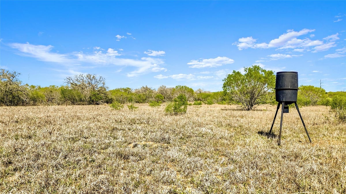 View 0 Fox Trotter Rd in W Van Dyke 0 Fox Trotter Rd - front exterior - Luxury lot in W Van Dyke, Seguin, TX