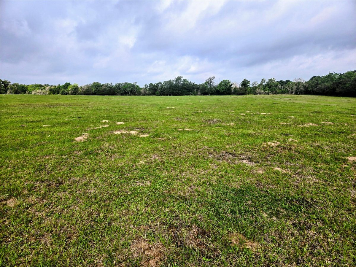 View 0 Hofferek Rd in Williams 0 Hofferek Rd - front exterior - Luxury home in Williams, Rosanky, TX