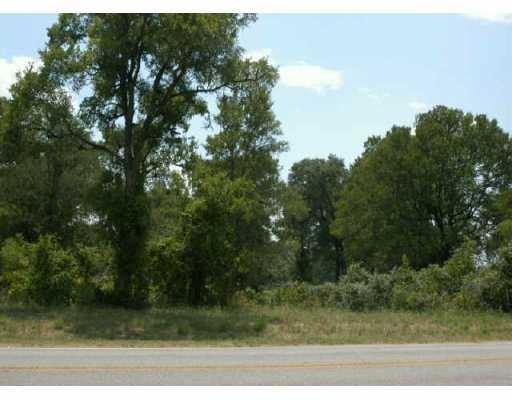 View 0 Hwy 304, Tract 6 0 Hwy 304, Tract 6 - front exterior - Luxury home in Bastrop, TX