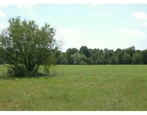 View 0 Hwy 304, Tract 5 0 Hwy 304, Tract 5 - front exterior - Luxury home in Bastrop, TX