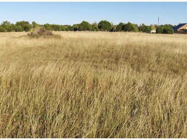 View 0 Jonathan DR 0 Jonathan DR - front exterior - Luxury home in Liberty Hill, TX