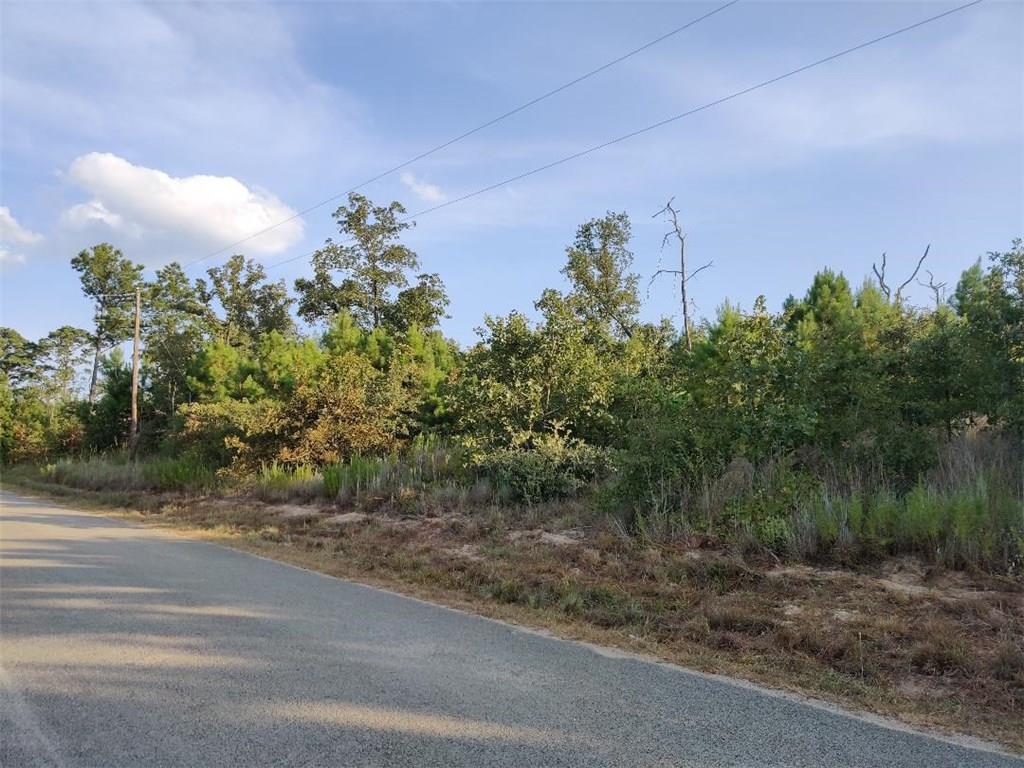 View 0 K C Dr 0 K C Dr - front exterior - Luxury home in Bastrop, TX