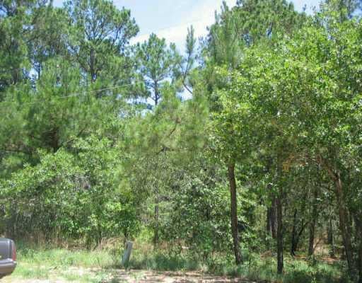 View 0 Lei Ct 0 Lei Ct - front exterior - Luxury lot in Bastrop, TX