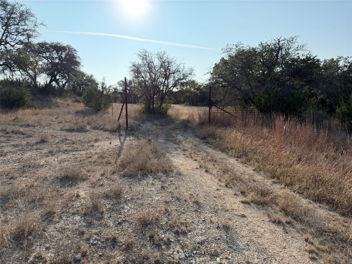 Backyard with Rural acreage and Native tree coverage at 0 Lohman Ford Rd - ABS 207 SUR 740 COX B F ACR 315.3630 [1-D-1], L...