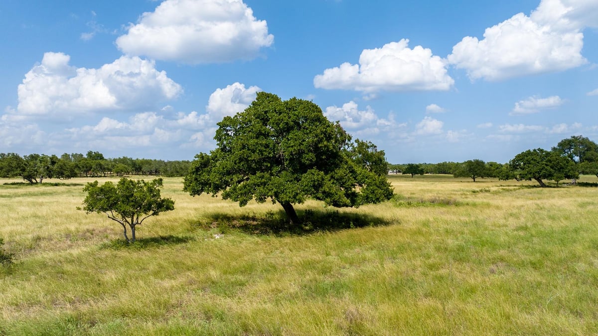 Living area at 0 Lone Man Mountain Rd - Lone Man Mountain Preserve, Wimberley, TX