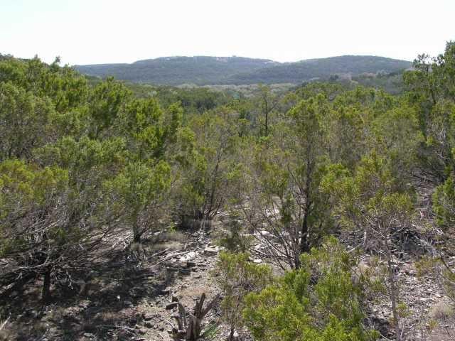 View 0 Lost Trail in * 0 Lost Trail - front exterior - Luxury home in *, Austin, TX