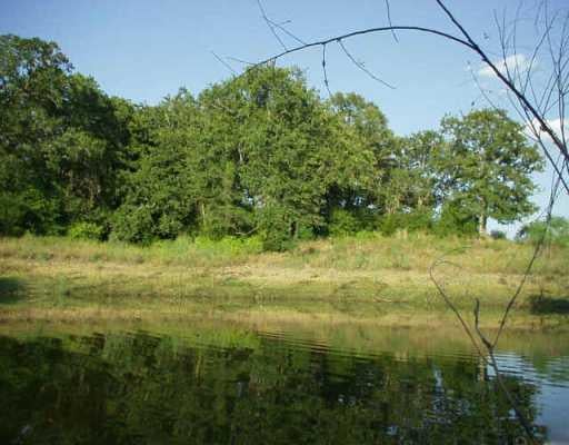 View 0 Makinson RD 0 Makinson RD - front exterior - Luxury home in West Point, TX