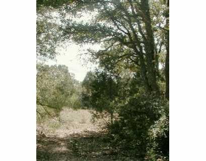 View 0 Micki Ter 0 Micki Ter - front exterior - Luxury lot in McDade, TX