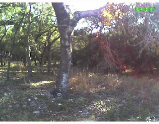 View 0 Mountain Crest DR 0 Mountain Crest DR - front exterior - Luxury lot in Wimberley, TX