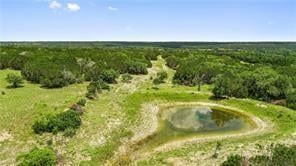 View 0 N Fm 963/W SD 0 N Fm 963/W SD - front exterior - Luxury lot in Briggs, TX