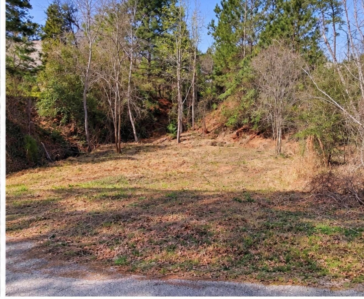 View 0 N Kanaio DR in Bastrop 0 N Kanaio DR, photo 1 of 2, Bastrop, Bastrop, TX