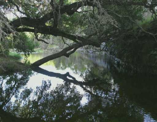 View 0 Oak MDW 0 Oak MDW - front exterior - Luxury lot in Wimberley, TX