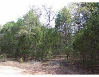 View 0 Old Smithville Easement 0 Old Smithville Easement - front exterior - Luxury lot in Smithville, TX