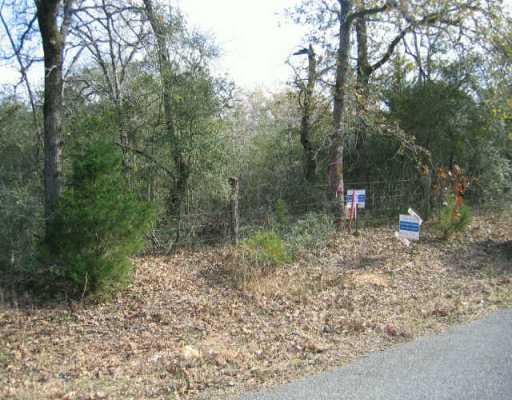 View 0 peach CRK 0 peach CRK - front exterior - Luxury lot in Rosanky, TX