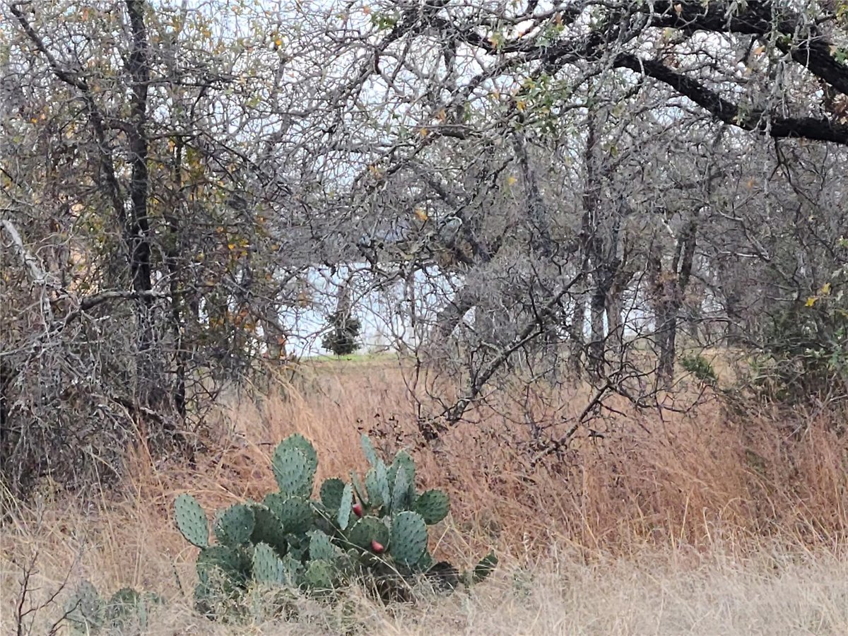 View 0 Peg Leg Ln in Jeckers Cove 0 Peg Leg Ln - property photo 1 - Luxury lot in Jeckers Cove, Buchanan Dam, TX