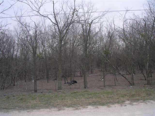 View 0 Petras WAY 0 Petras WAY - front exterior - Luxury home in Niederwald, TX