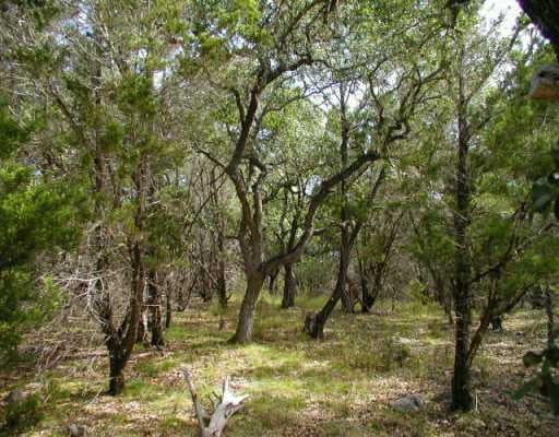View 0 Sandy PT 0 Sandy PT - front exterior - Luxury lot in Wimberley, TX