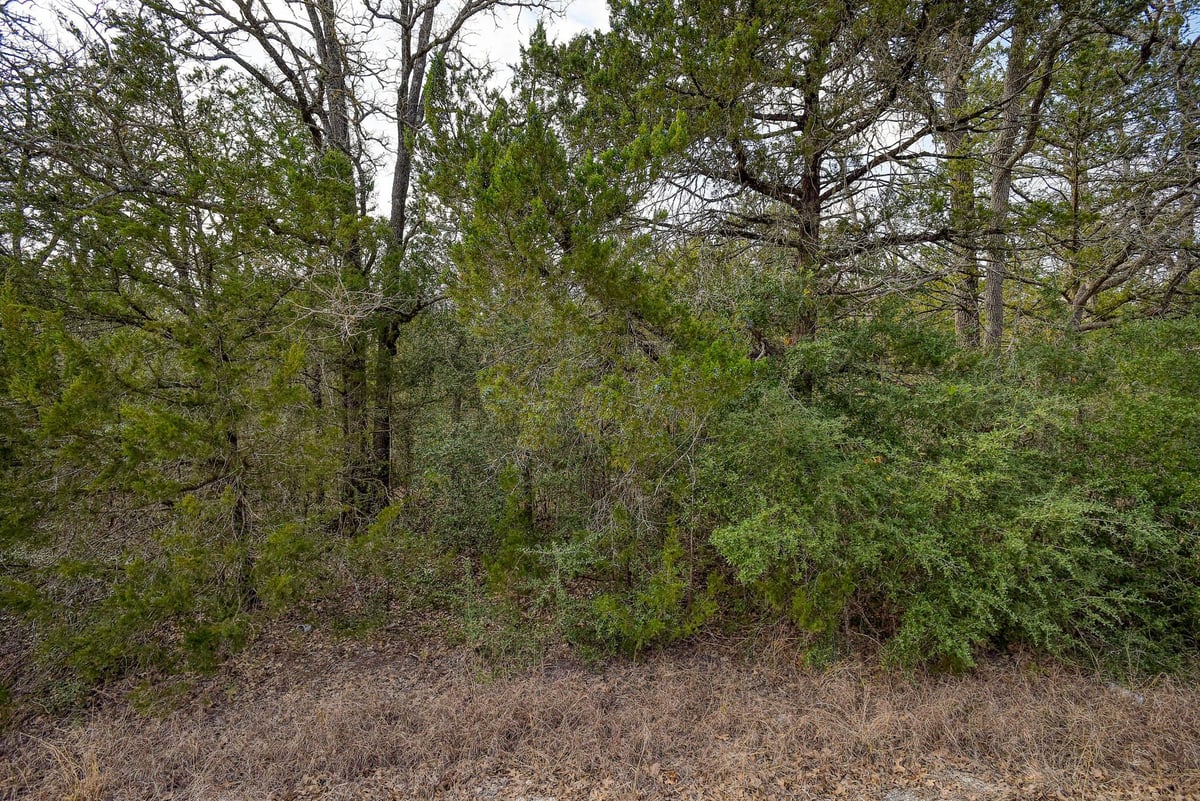 View 0 Short St in Lake Bastrop Acres 0 Short St - front exterior - Luxury lot in Lake Bastrop Acres, Bastrop, TX