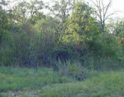 View 0 Smith RD 0 Smith RD - front exterior - Luxury lot in Bastrop, TX