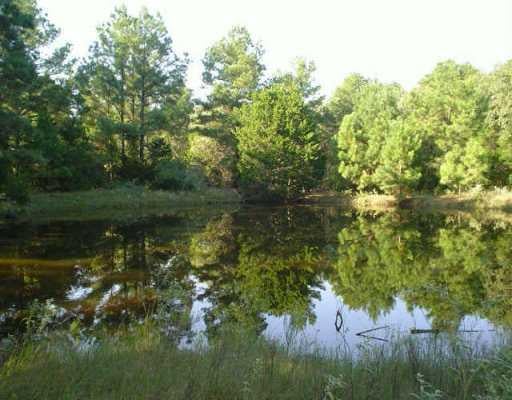 View 0 Split Oak RD 0 Split Oak RD - property photo 1 - Luxury home in Rosanky, TX