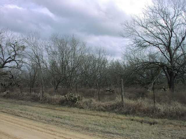 View 0 Webb RD 0 Webb RD - front exterior - Luxury lot in Luling, TX
