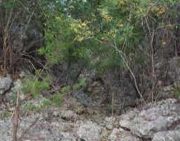 View 0 Whispering VLY 0 Whispering VLY - front exterior - Luxury lot in Wimberley, TX