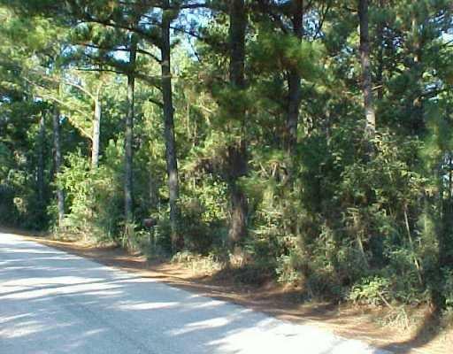 View 00 Bluebonnet 00 Bluebonnet - front exterior - Luxury lot in Bastrop, TX